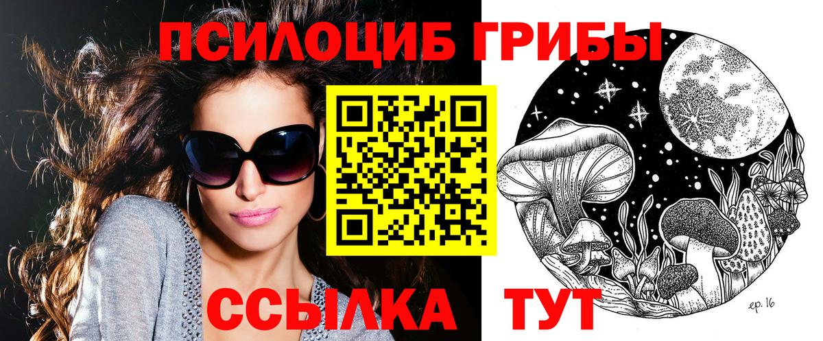 Сунжа  Псилоцибиновые грибы ЛСД  Псилоцибиновые грибы MAGIC MUSHROOMS  Вход с VPN 
